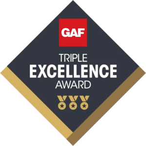 Triple-Excellence-Award-removebg-preview